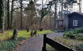 Chalet des pins d'Autriche