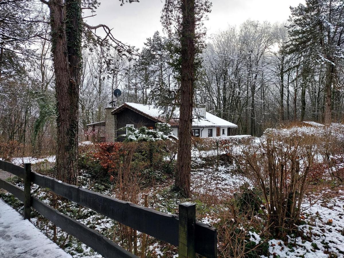 Chalet des pins d'Autriche Comblain-Fairon Extérieur photo