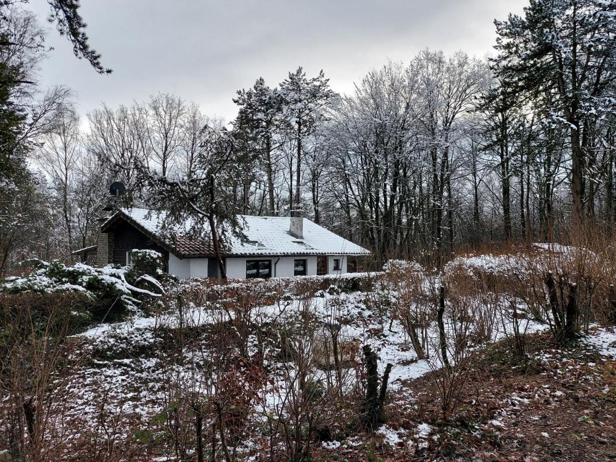 Chalet des pins d'Autriche Comblain-Fairon Extérieur photo