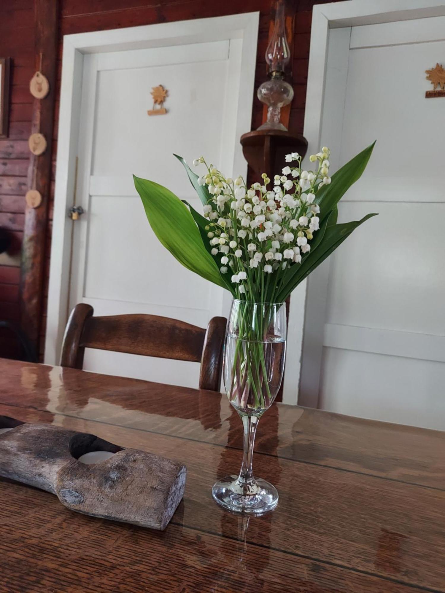Chalet des pins d'Autriche Comblain-Fairon Extérieur photo