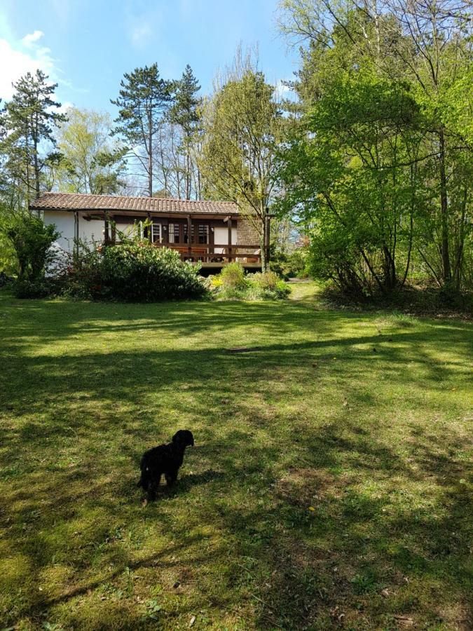 Chalet des pins d'Autriche Comblain-Fairon Extérieur photo