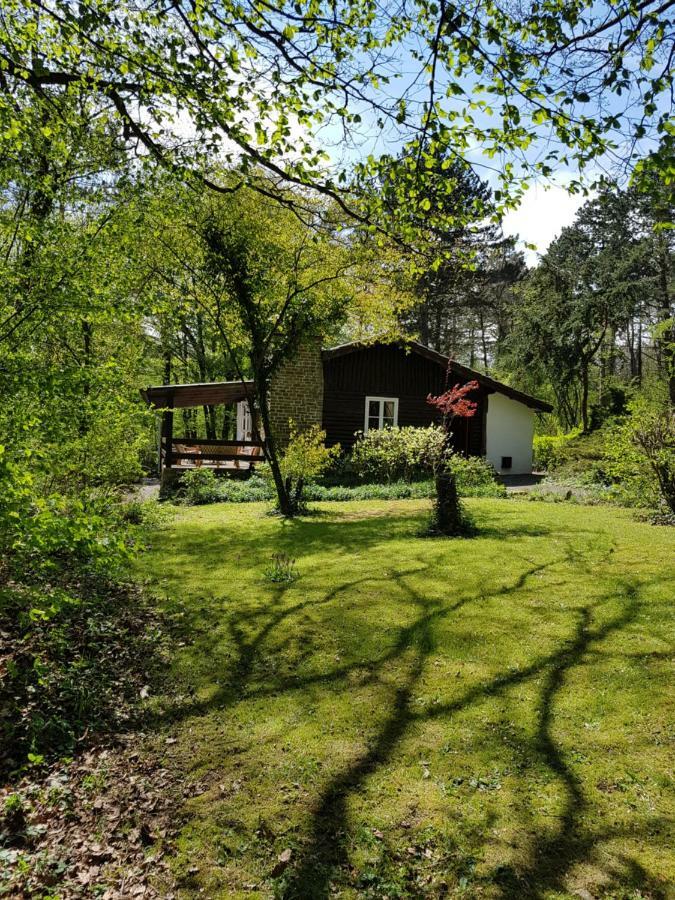 Chalet des pins d'Autriche Comblain-Fairon Extérieur photo