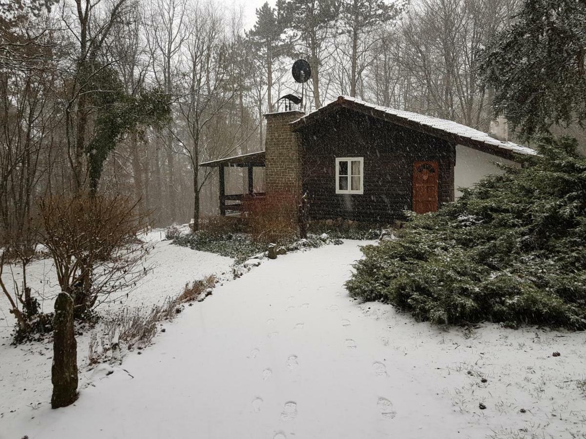 Chalet des pins d'Autriche Comblain-Fairon Extérieur photo