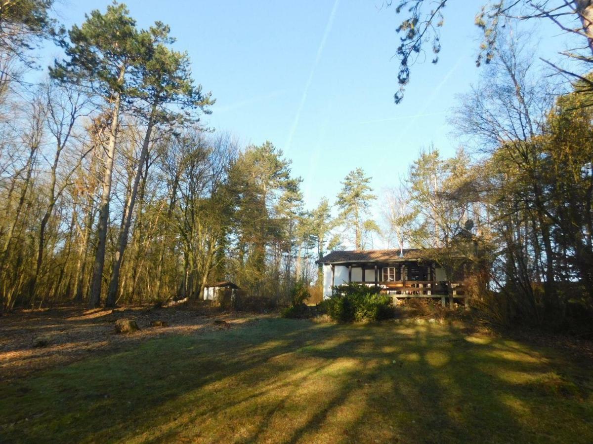 Chalet des pins d'Autriche Comblain-Fairon Extérieur photo